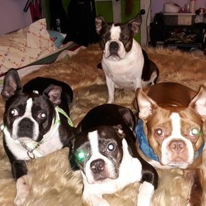 Ciao Bella!  So‎ nice to meet you!